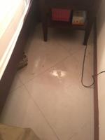 Water Damage Cleanup image 13